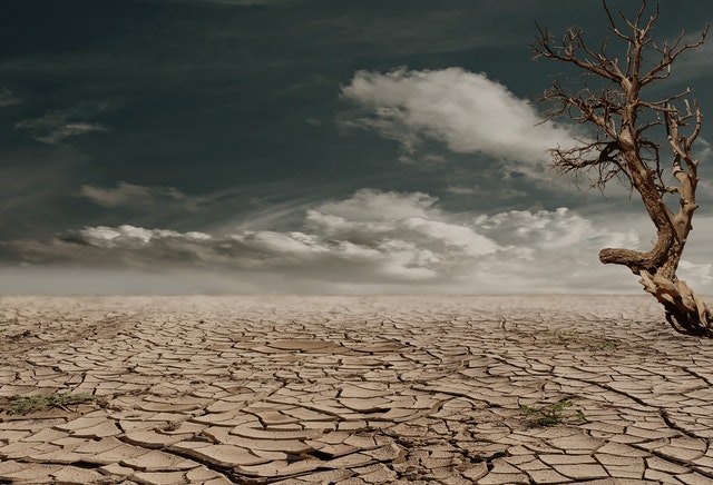 Paz y seguridad desde un enfoque medioambiental